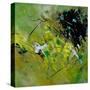 Abstract 882121-Pol Ledent-Stretched Canvas