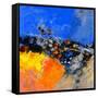 Abstract 884111312-Pol Ledent-Framed Stretched Canvas