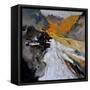 Abstract 88411170-Pol Ledent-Framed Stretched Canvas