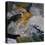 Abstract 8841211-Pol Ledent-Stretched Canvas