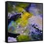 Abstract 8841212-Pol Ledent-Framed Stretched Canvas