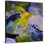 Abstract 8841212-Pol Ledent-Stretched Canvas