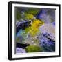 Abstract 8841212-Pol Ledent-Framed Art Print