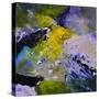 Abstract 8841212-Pol Ledent-Stretched Canvas