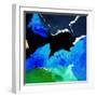 Abstract 8851901-Pol Ledent-Framed Art Print