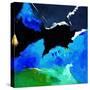 Abstract 8851901-Pol Ledent-Stretched Canvas