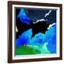 Abstract 8851901-Pol Ledent-Framed Art Print