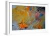 Abstract 9025413-Pol Ledent-Framed Art Print