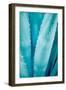 Abstract Agava III Color-Elizabeth Urquhart-Framed Art Print