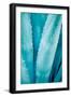 Abstract Agava III Color-Elizabeth Urquhart-Framed Art Print