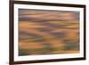 Abstract agricultural fields, Washington.-Brenda Tharp-Framed Photographic Print