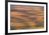 Abstract agricultural fields, Washington.-Brenda Tharp-Framed Photographic Print