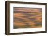 Abstract agricultural fields, Washington.-Brenda Tharp-Framed Photographic Print