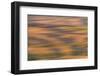 Abstract agricultural fields, Washington.-Brenda Tharp-Framed Photographic Print