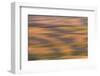 Abstract agricultural fields, Washington.-Brenda Tharp-Framed Photographic Print