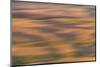 Abstract agricultural fields, Washington.-Brenda Tharp-Mounted Photographic Print