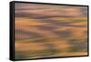 Abstract agricultural fields, Washington.-Brenda Tharp-Framed Stretched Canvas