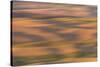 Abstract agricultural fields, Washington.-Brenda Tharp-Stretched Canvas