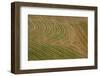 Abstract Air 1-1-Moises Levy-Framed Photographic Print