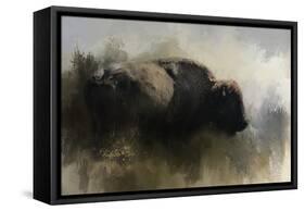 Abstract American Bison-Jai Johnson-Framed Stretched Canvas