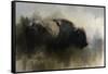 Abstract American Bison-Jai Johnson-Framed Stretched Canvas