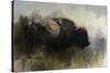 Abstract American Bison-Jai Johnson-Stretched Canvas