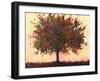 Abstract Apple Tree-Patty Baker-Framed Art Print