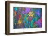 Abstract Art Background. Hand-Painted.-Thirteen-Framed Photographic Print