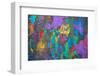 Abstract Art Background. Hand-Painted.-Thirteen-Framed Photographic Print