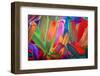 Abstract Art Backgrounds. Hand-Painted Background. SELF Made.-Thirteen-Framed Photographic Print