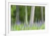 Abstract artistic blur of trees and lupine blossoms. USA, Wisconsin.-Brenda Tharp-Framed Photographic Print