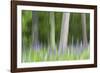 Abstract artistic blur of trees and lupine blossoms. USA, Wisconsin.-Brenda Tharp-Framed Photographic Print