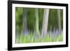 Abstract artistic blur of trees and lupine blossoms. USA, Wisconsin.-Brenda Tharp-Framed Photographic Print