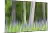 Abstract artistic blur of trees and lupine blossoms. USA, Wisconsin.-Brenda Tharp-Mounted Photographic Print