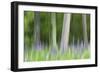 Abstract artistic blur of trees and lupine blossoms. USA, Wisconsin.-Brenda Tharp-Framed Photographic Print