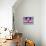 Abstract Artwork of Uterus, Pill & Menstrual Cycle-John Bavosi-Photographic Print displayed on a wall