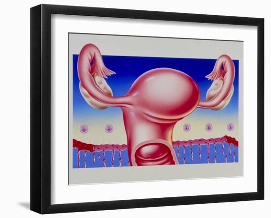 Abstract Artwork of Uterus, Pill & Menstrual Cycle-John Bavosi-Framed Photographic Print