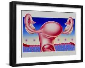 Abstract Artwork of Uterus, Pill & Menstrual Cycle-John Bavosi-Framed Photographic Print