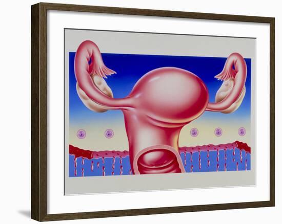 Abstract Artwork of Uterus, Pill & Menstrual Cycle-John Bavosi-Framed Photographic Print