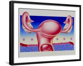 Abstract Artwork of Uterus, Pill & Menstrual Cycle-John Bavosi-Framed Photographic Print