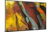 Abstract Background Autumn Painting-Anna Pismenskova-Mounted Photographic Print