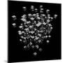 Abstract Background Cubes Explosion On Black-andegro4ka-Mounted Art Print