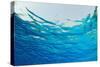 Abstract Background of Blue Water Ripples from Underwater-Rich Carey-Stretched Canvas