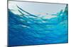 Abstract Background of Blue Water Ripples from Underwater-Rich Carey-Mounted Photographic Print