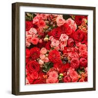 Abstract Background of Flowers. Close-Up.-Gilmanshin-Framed Photographic Print