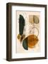 Abstract Beige No 1-Andreas Magnusson-Framed Photographic Print