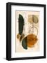 Abstract Beige No 1-Andreas Magnusson-Framed Photographic Print