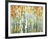Abstract Birch Trees Warm-Marietta Cohen Art and Design-Framed Giclee Print