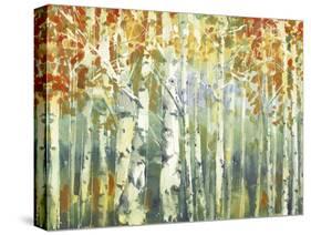 Abstract Birch Trees Warm-Marietta Cohen Art and Design-Stretched Canvas