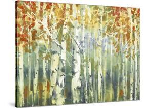 Abstract Birch Trees Warm-Marietta Cohen Art and Design-Stretched Canvas